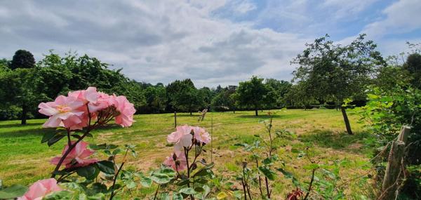 Terrain constructible de 1745m2 à 5 minutes (2kms) de la plage
