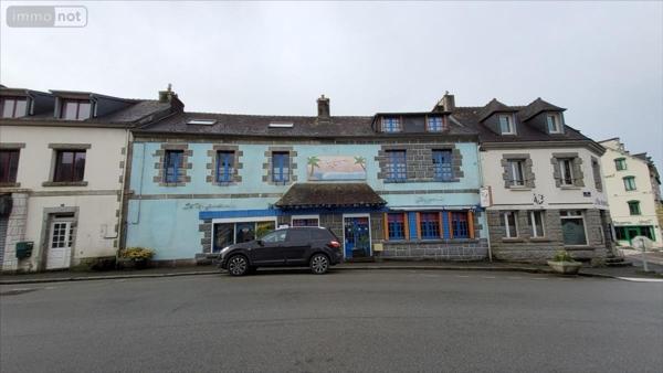 Immeuble à vendre à Huelgoat dans le Finistère (29690), ref : 29066-291779