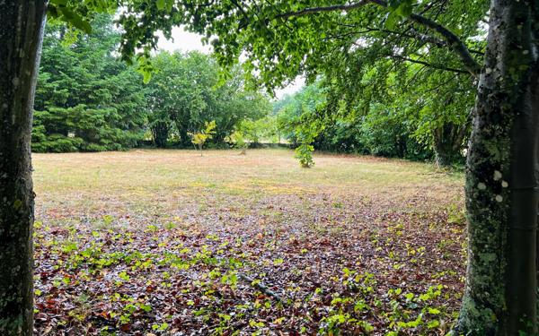 Terrain à vendre    Lailly-en-Val