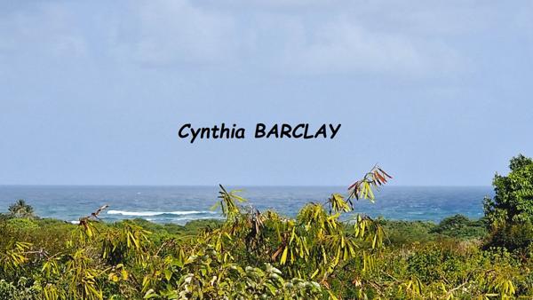 Terrain à SAINTE ANNE (97227)