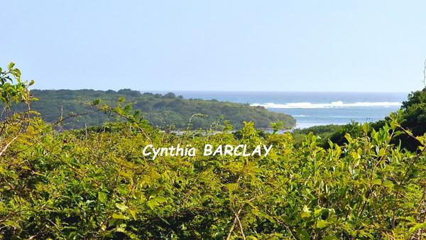 Terrain à SAINTE ANNE (97227)