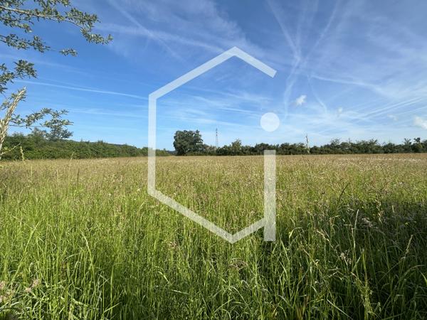 Authentique propriété de caractère avec granges, dépendances et pré