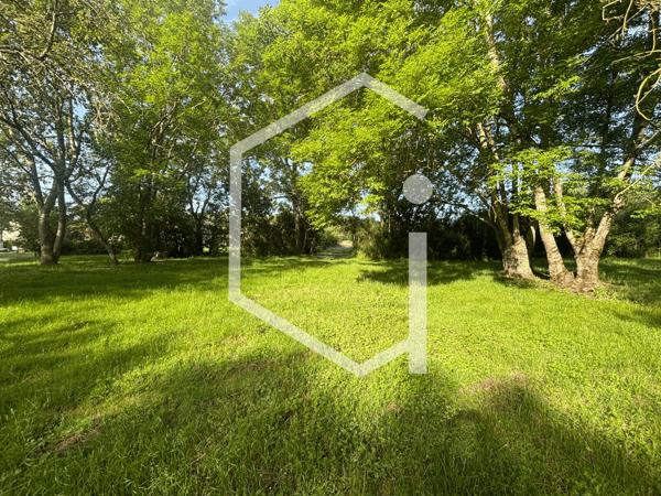Authentique propriété de caractère avec granges, dépendances et pré