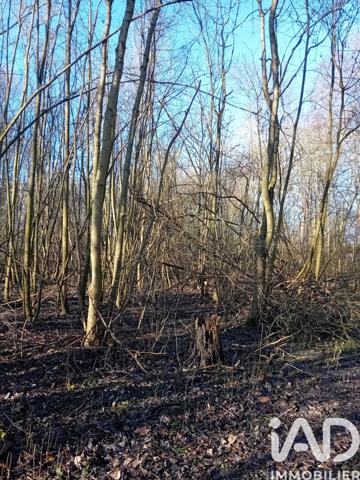 Terrain à vendre 10 555 m² Châlette-sur-Loing