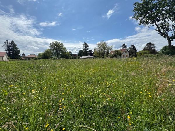 Terrain 11 ares plat viabilisé libre de constructeur