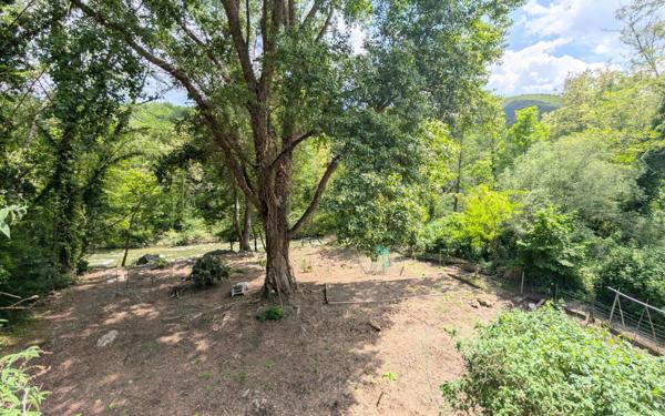 Maison à vendre    6 pièces • 176 m2 Arles-sur-Tech