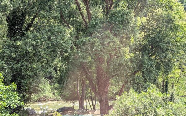 Maison à vendre    6 pièces • 176 m2 Arles-sur-Tech