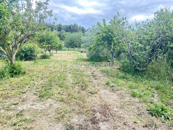 Terrain de 1 000 m²