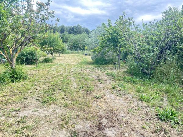 Terrain de 1 000 m²