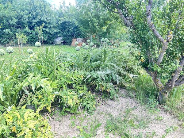 Terrain de 1 000 m²