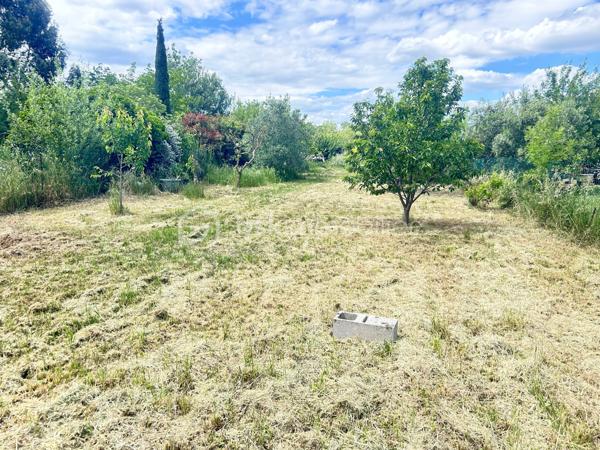 Terrain de 1 000 m²