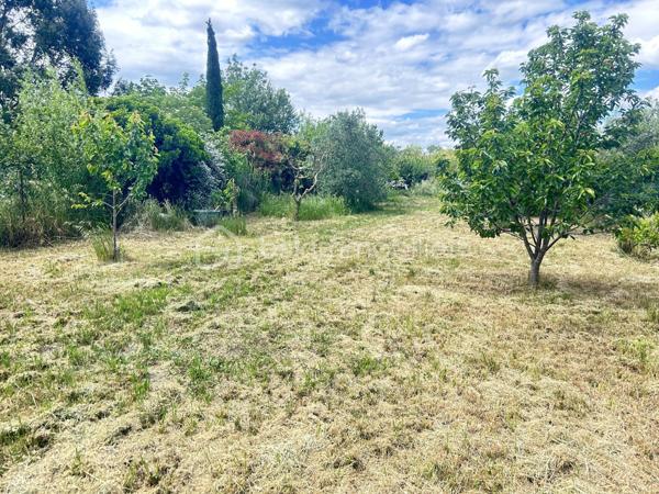 Terrain de 1 000 m²