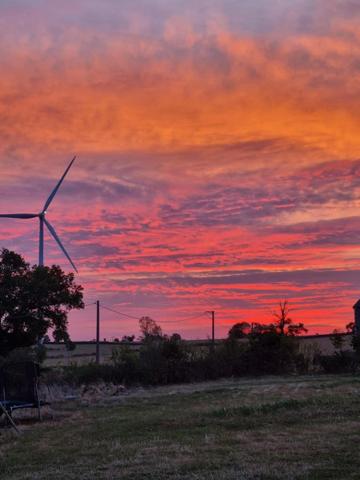 Belle maison avec 3 hectares