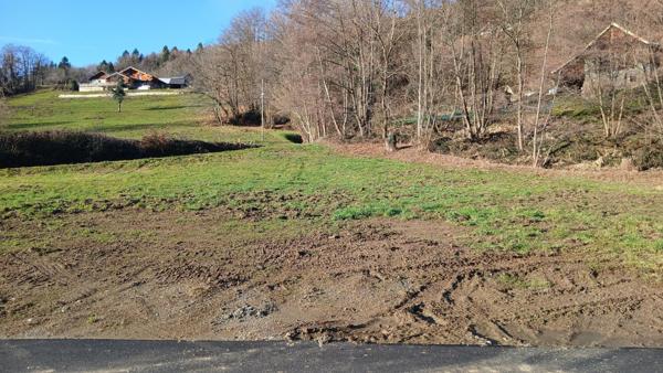 En exclusivité chez Safti Albertville