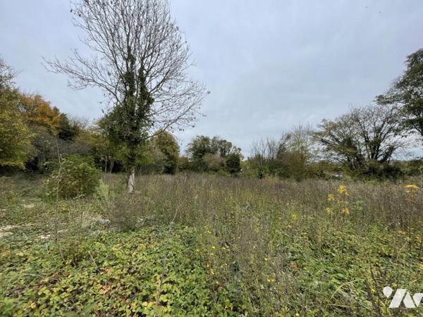 Terrain à bâtir avec permis- 6663m² - Un pavillon