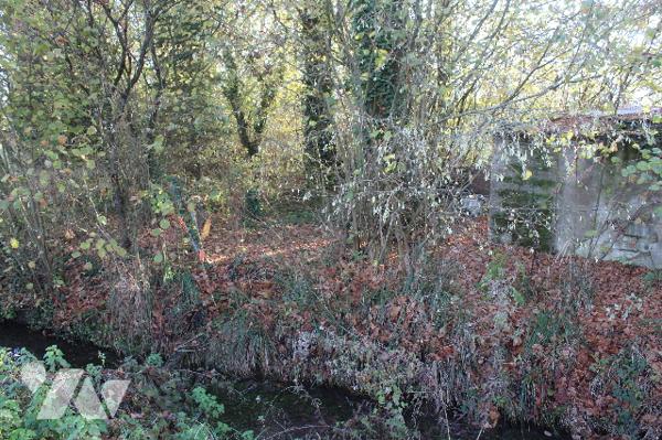 Terrain arboré avec étang