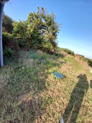 Maison à vendre à Crozon dans le Finistère (29160), ref : A202500252