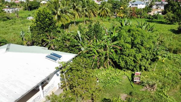 Maison + 4700m2 de terrain constructible