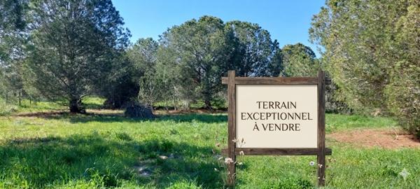 Perpignan (66000) TERRAIN MAS LLARO