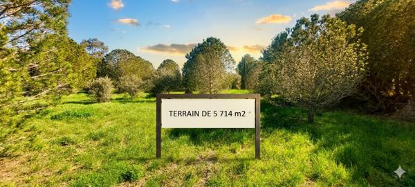 Perpignan (66000) TERRAIN MAS LLARO