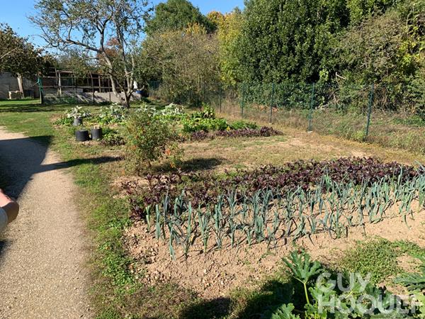 Longère rénovée 4 chambres en campagne
