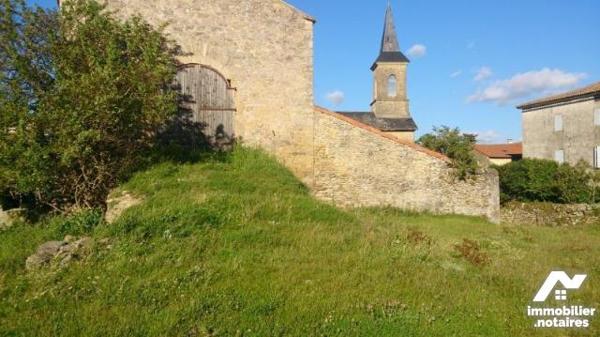 A VENDRE SAINT-AFFRIQUE AVEYRON,  6km du centre ville, Maison de maître à rénover construite en...