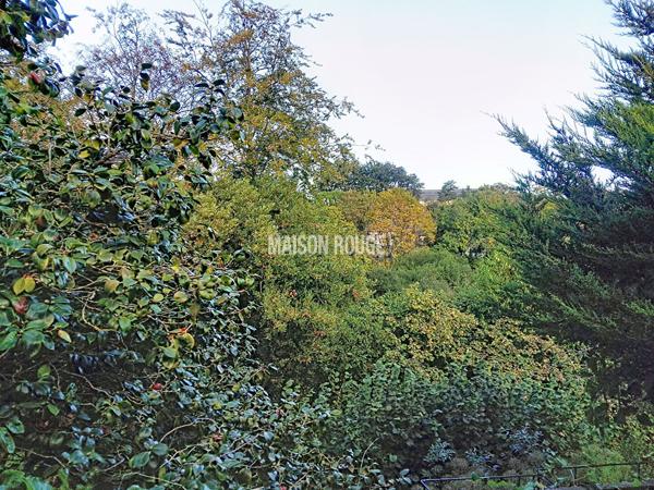 LANGUEUX - TERRAIN AVEC VUE SUR L'ÉTANG DU DOUVENANT - MAISON EXISTANTE