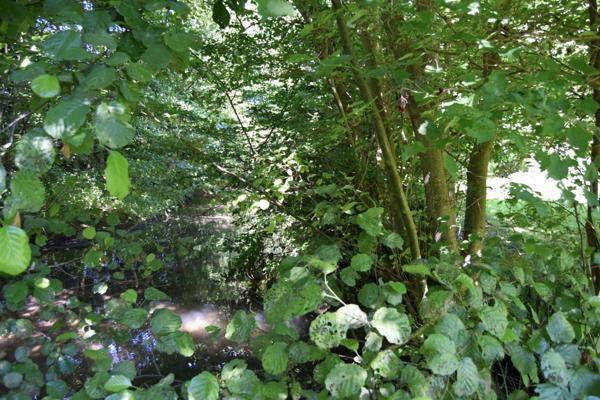 Terrain à vendre AIX EN OTHE (10)