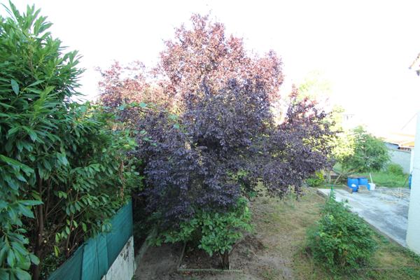 Bourbon-Lancy (71140) Maison à vendre Trois chambres