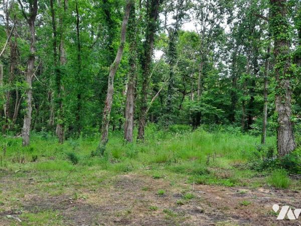 SOULLANS - Quartier privilégié