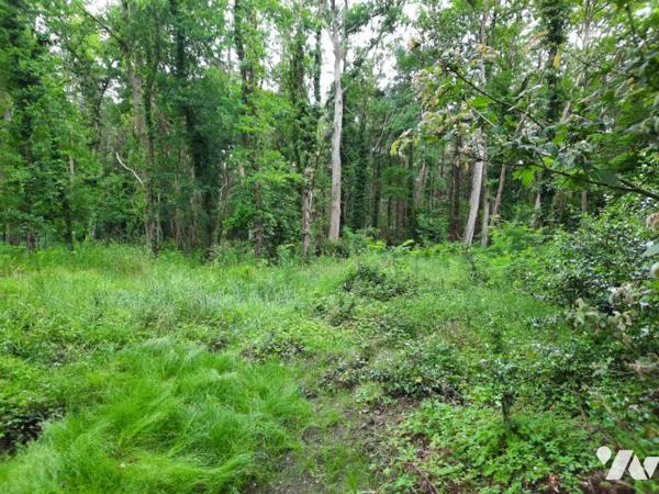 SOULLANS - Quartier privilégié