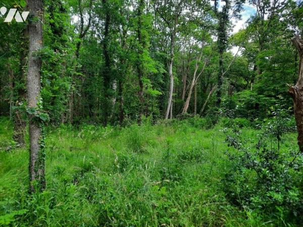 SOULLANS - Quartier privilégié