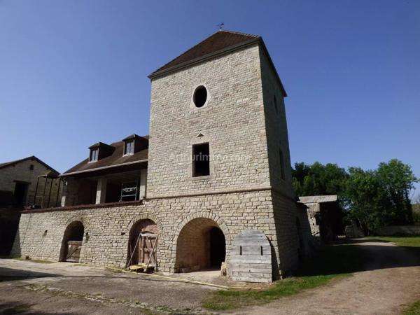 Vente Propriété 11 pièces 310 m2 à Noyers