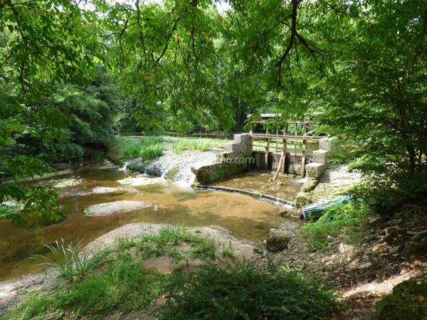 Vente Propriété 11 pièces 310 m2 à Noyers