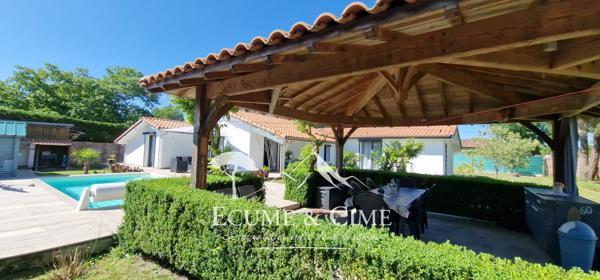 Maison type landaise rénovée avec piscine proche du lac