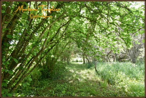 Demeure de caractère 260 m² – 4 800 m² terrain – Vue Pyrénées – 5 min Navarrenx