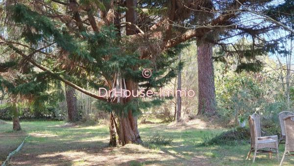 Maison à vendre 13 pièces de 243 m²