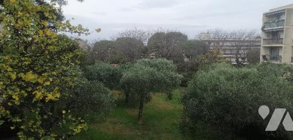 Appartement T3/4 de 72m2 (Carrez) avec son grand balcon dans le quartier du Roy d'Espagne (8e)