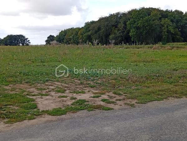 Lotissement de 659 m²