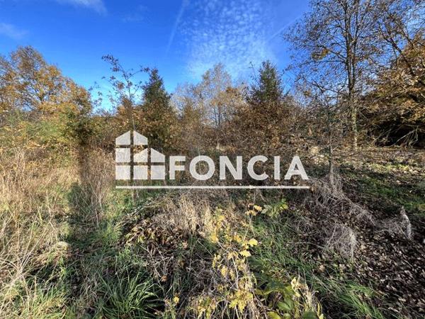 À vendre Terrain 17414 m² - Connerré 72160