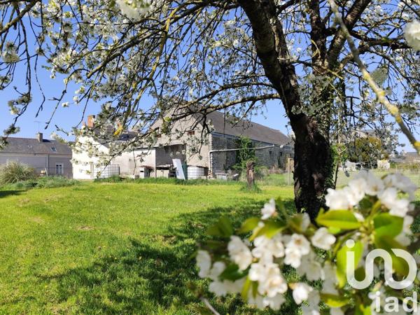 Maison rustique 8 pièces de 214 m² à Noyant (49490)