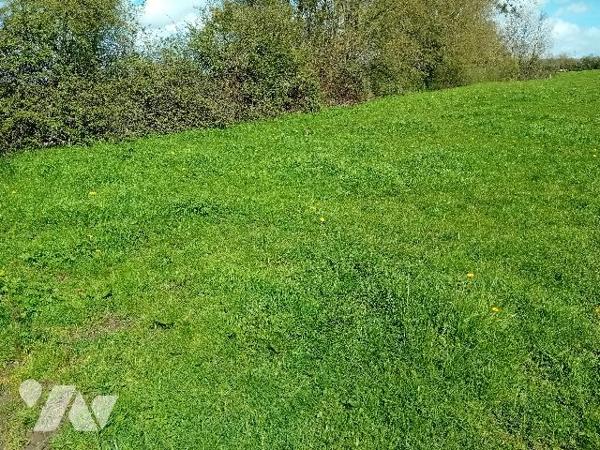 Au calme. Une parcelle de terrain à bâtir de 1000m2 à 1500m2 maximum, 32€  le m2.