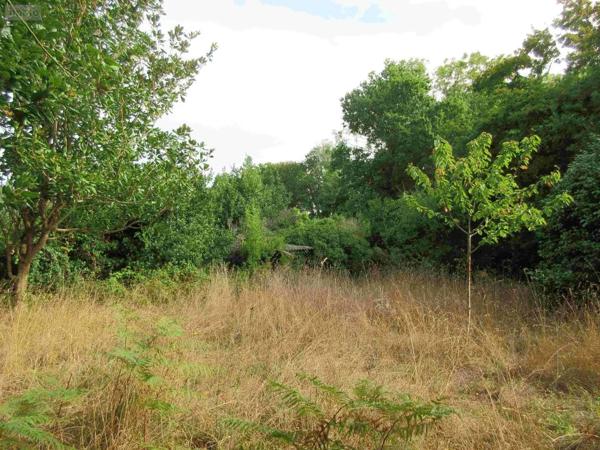 Achat - Maison Audierne 29770 6 pièces 1 m 2 1330 m 2