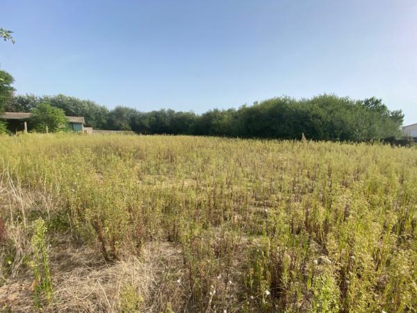 Secteur de la Grière !