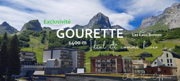 Appartement T1 à vendre GOURETTE Les Eaux Bonnes
