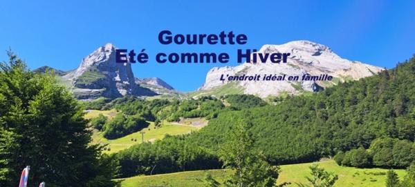 Appartement T1 à vendre GOURETTE Les Eaux Bonnes