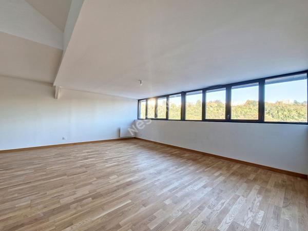 Appartement spacieux de 4 pièces à Poitiers - Jardin des Plantes