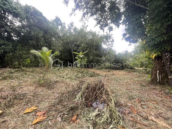 Terrain de 2 033 m²