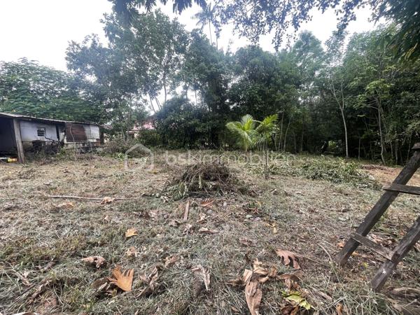 Terrain de 2 033 m²