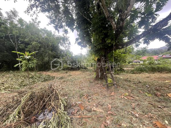 Terrain de 2 033 m²